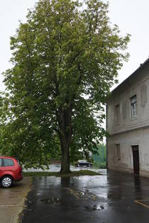 200 ves a cscsi iskola - iskolatrtneti killts
