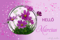 2026.m�rciusi munkarend