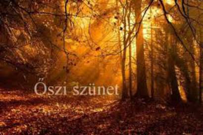 szi sznet 2019-20