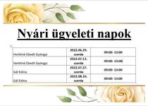 Nyri gyeleti napok 2022.