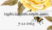 gyeleti napok 2020.