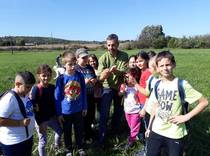 Botfai barangols 3.b osztly