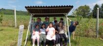 Balaton-birtokon az 1.a osztly 2024.